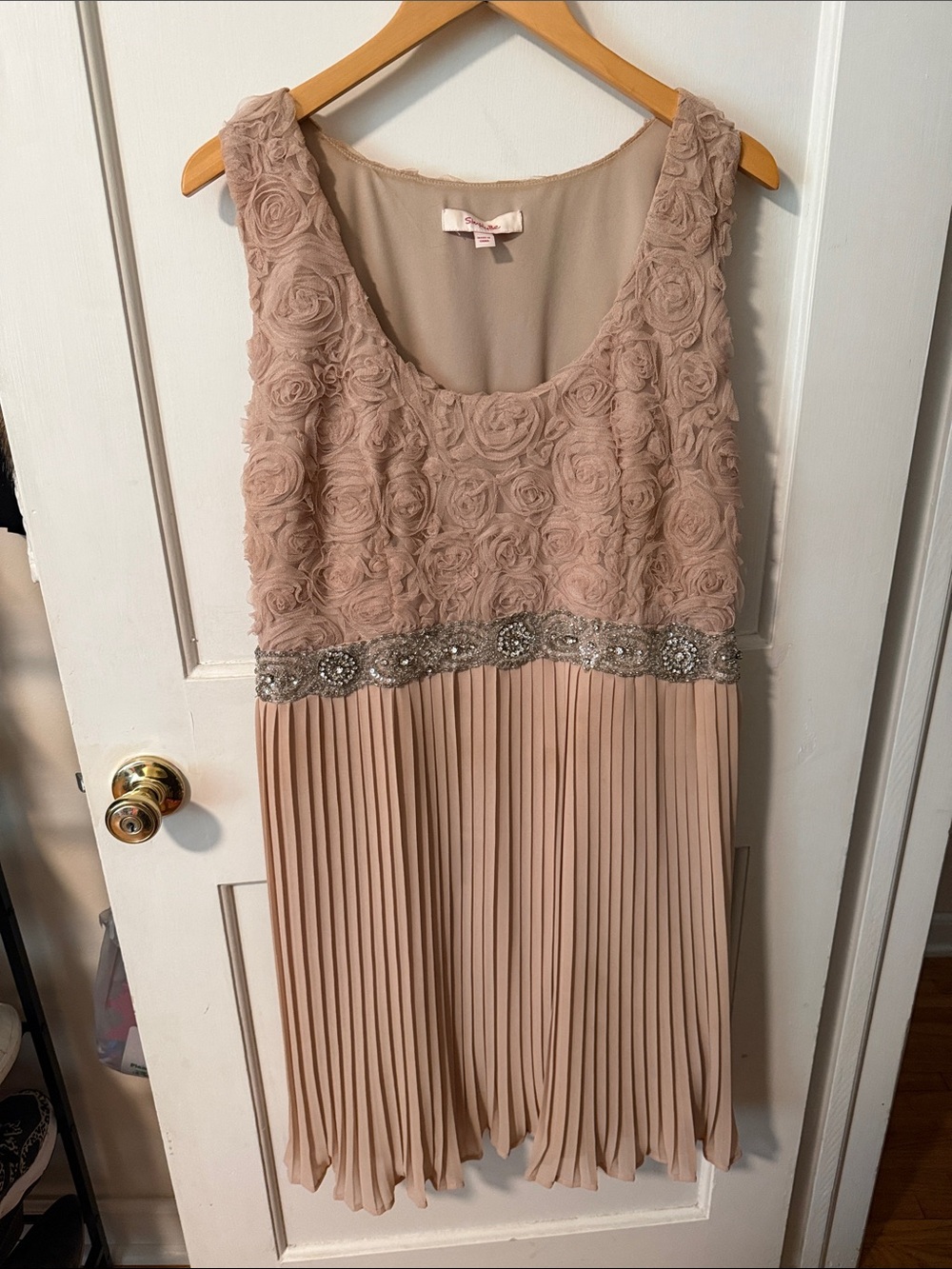 Simply Be Nude-Appliqué Pleated Mini Dress